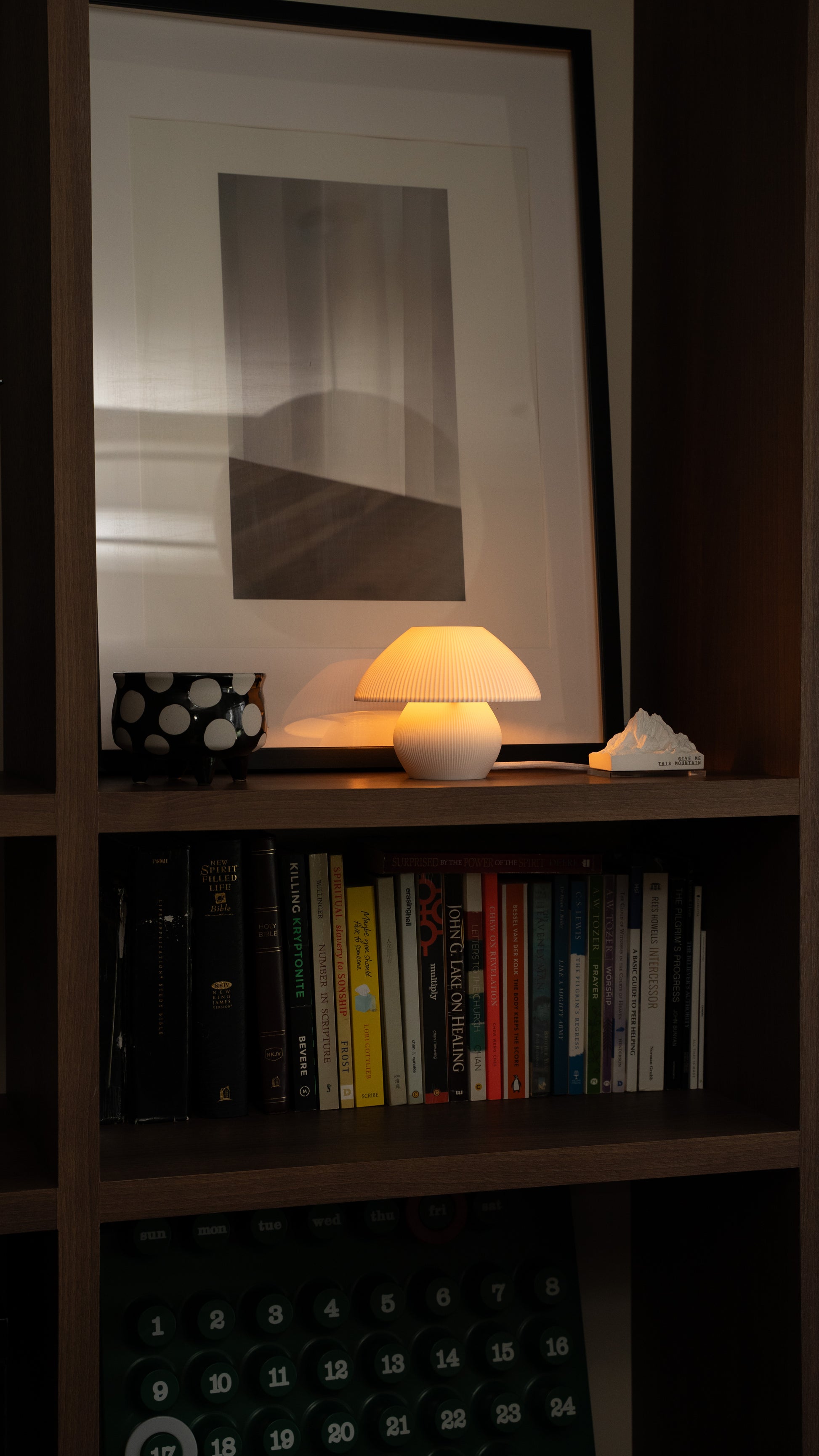 Myco Lamp